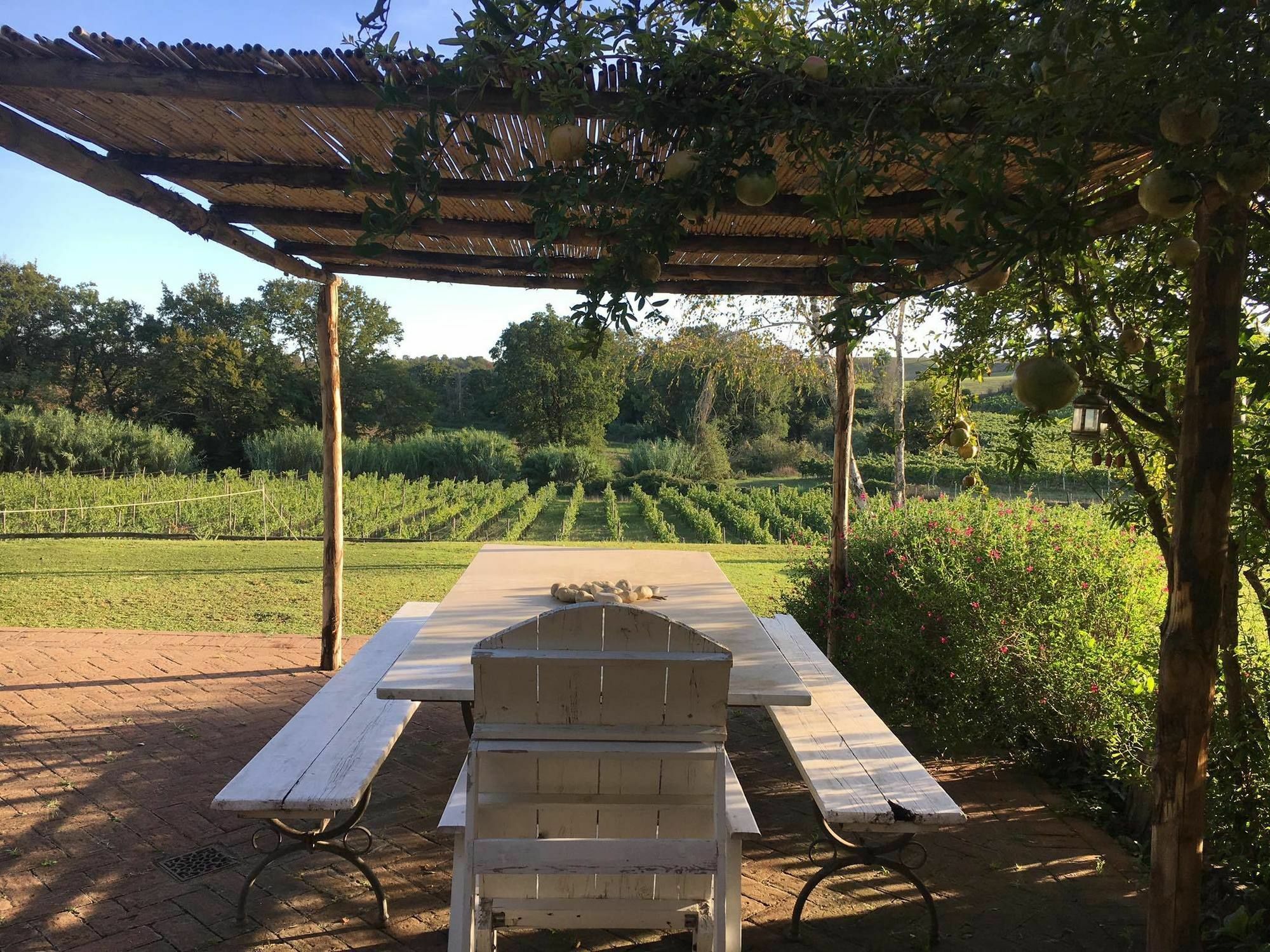 Borgo Del Gelso Bed & Breakfast Olgiata ภายนอก รูปภาพ