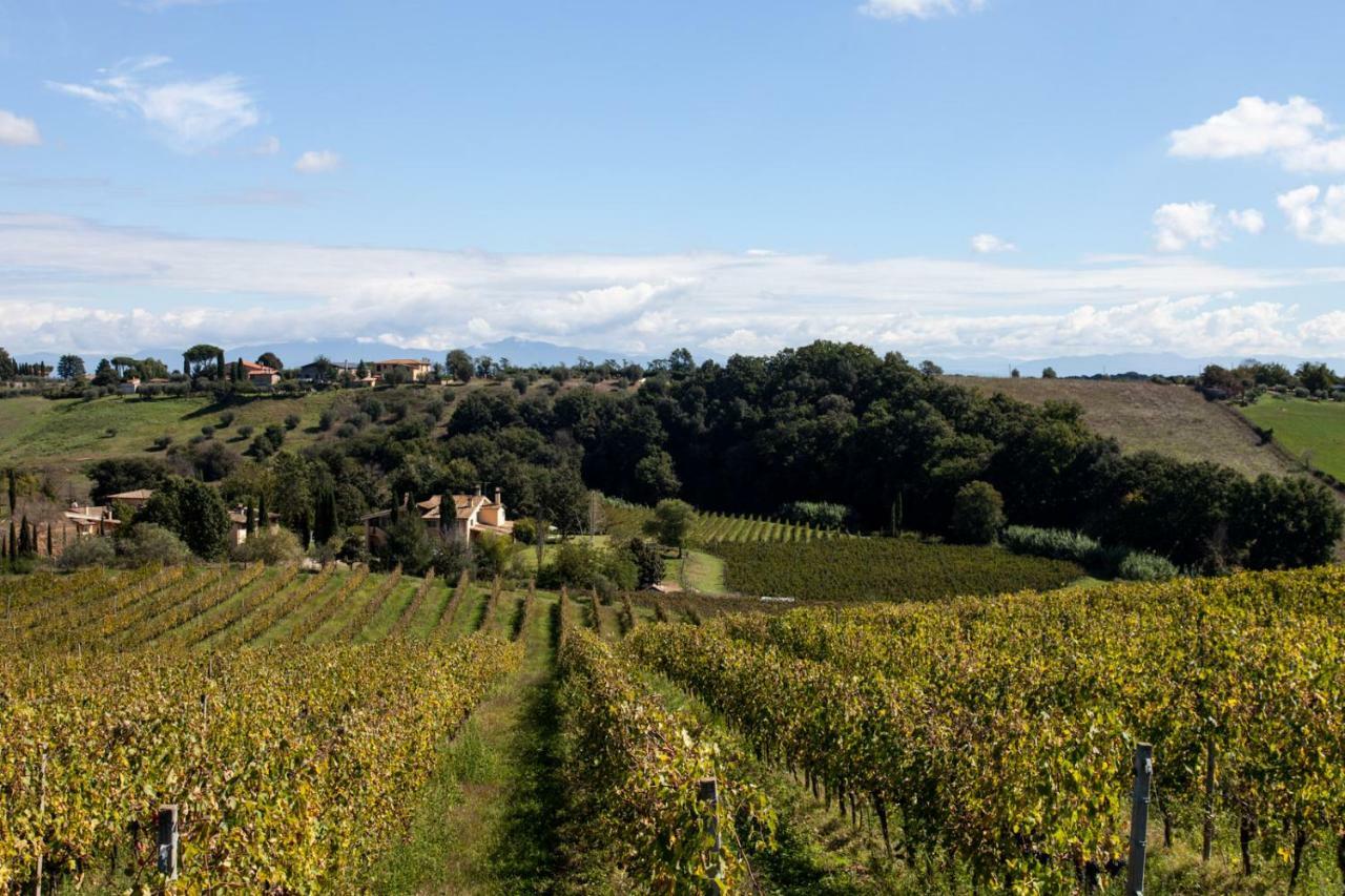 Borgo Del Gelso Bed & Breakfast Olgiata ภายนอก รูปภาพ